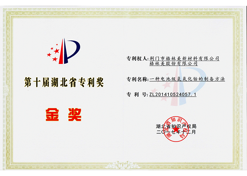 26.湖北省专利奖金奖.png